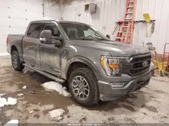 1FTFW1ED6PFC58542 2023 FORD F-150
