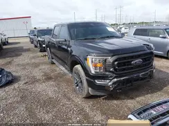 1FTFW1ED6PFD08498 2023 FORD F-150