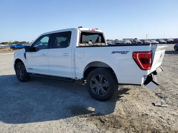 1FTFW1ED6PFD10526 2023 FORD F-150 - Image 2