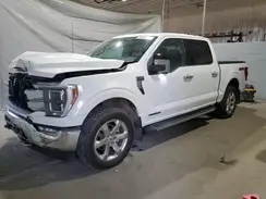1FTFW1ED7MFB67050 2021 FORD F-150