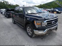 1FTFW1ED7MFC99838 2021 FORD F-150