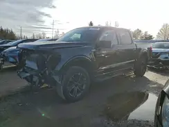 1FTFW1ED7PFA10994 2023 FORD F-150
