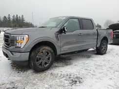 1FTFW1ED7PFA14527 2023 FORD F-150
