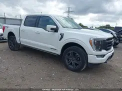 1FTFW1ED7PFB15678 2023 FORD F-150