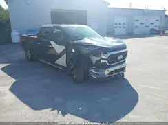 1FTFW1ED7PFB27894 2023 FORD F-150