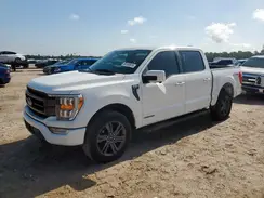 1FTFW1ED7PFB70633 2023 FORD F-150