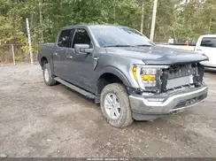 1FTFW1ED7PFD03875 2023 FORD F-150