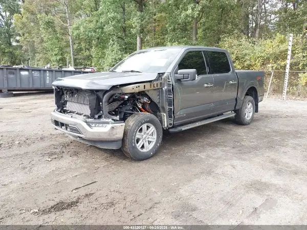 1FTFW1ED7PFD03875 2023 FORD F-150 - Image 2