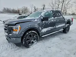 1FTFW1ED7PFD06548 2023 FORD F-150