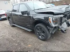1FTFW1ED7PFD27433 2023 FORD F-150