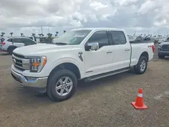1FTFW1ED8MFC00959 2021 FORD F-150