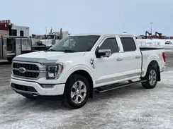 1FTFW1ED8NFA87015 2022 FORD F-150