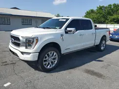 1FTFW1ED8PFB12479 2023 FORD F-150