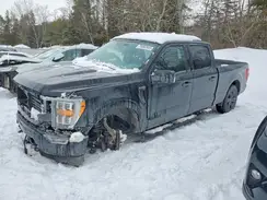 1FTFW1ED8PFB30352 2023 FORD F-150
