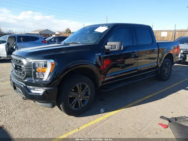 1FTFW1ED8PFB64629 2023 FORD F-150 - Image 2