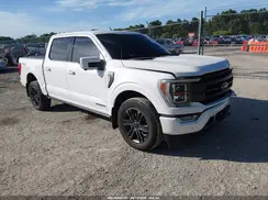 1FTFW1ED8PFC83667 2023 FORD F-150