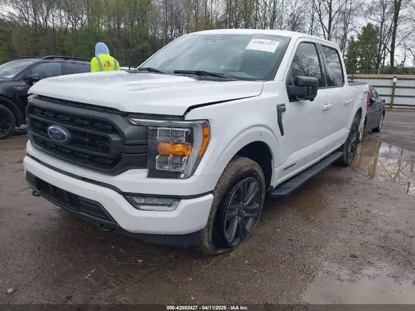 1FTFW1ED8PFD06493 2023 FORD F-150 - Image 2