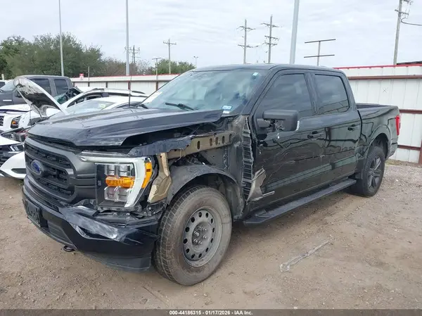 1FTFW1ED8PFD07305 2023 FORD F-150 - Image 2