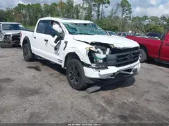 1FTFW1ED9MFB85856 2021 FORD F-150