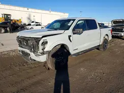 1FTFW1ED9PFA31569 2023 FORD F-150