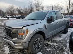 1FTFW1ED9PFA67181 2023 FORD F-150