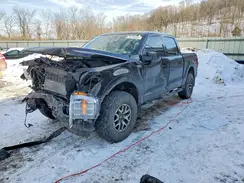 1FTFW1ED9PFA68007 2023 FORD F-150