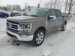 1FTFW1ED9PFB32286 2023 FORD F-150