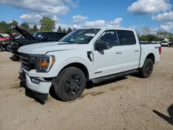 1FTFW1ED9PFC62519 2023 FORD F-150