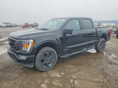 1FTFW1ED9PFD08964 2023 FORD F-150