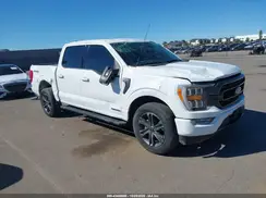 1FTFW1ED9PFD10441 2023 FORD F-150