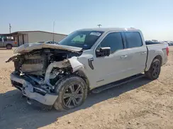 1FTFW1EDXPFC12180 2024 FORD F-150