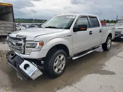 1FTFW1EF0EKF45137 2024 FORD F-150