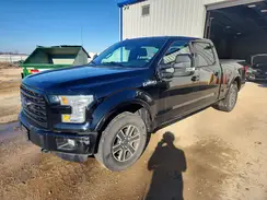 1FTFW1EF0GFC41351 2016 FORD F-150