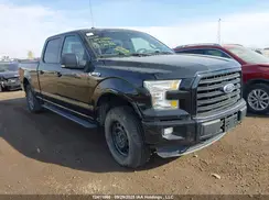 1FTFW1EF0GFD42986 2016 FORD F-150