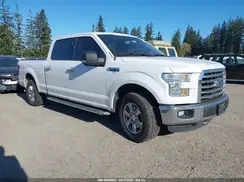 1FTFW1EF0GKD52781 2016 FORD F-150