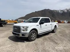 1FTFW1EF0GKF56917 2016 FORD F-150