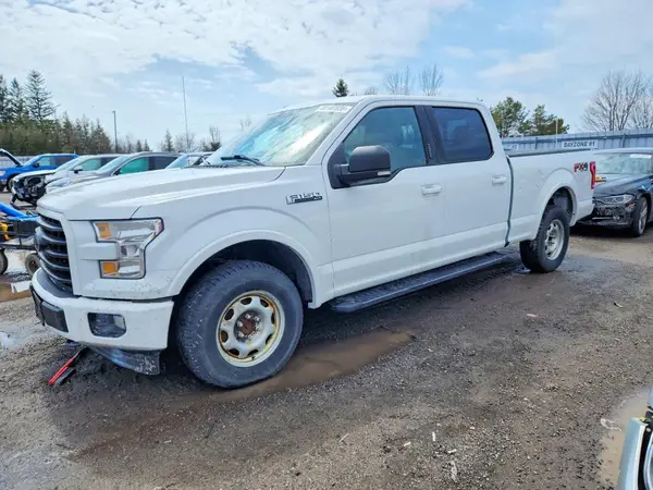 1FTFW1EF0HFC65294 2017 FORD F-150 - Image 1