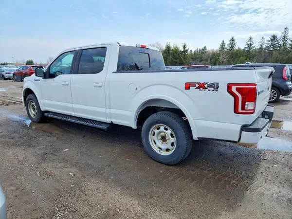 1FTFW1EF0HFC65294 2017 FORD F-150 - Image 2