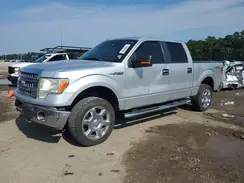 1FTFW1EF1DFB34529 2019 FORD F-150