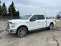 1FTFW1EF1GFC68882 2016 FORD F-150