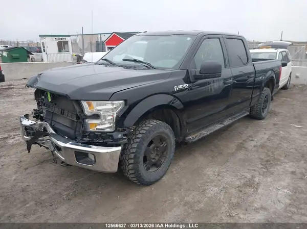 1FTFW1EF1GKE27438 2016 FORD F-150 - Image 2