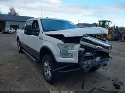 1FTFW1EF2GFA10046 2016 FORD F-150