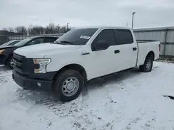 1FTFW1EF2GFB44328 2016 FORD F-150