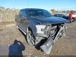 1FTFW1EF2GFD23646 2016 FORD F-150