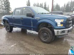1FTFW1EF2GKD66049 2016 FORD F-150