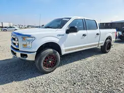 1FTFW1EF2GKF73136 2016 FORD F-150