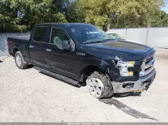 1FTFW1EF2HFB00024 2017 FORD F-150