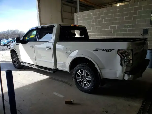1FTFW1EF2HFB24775 2017 FORD F-150 - Image 2