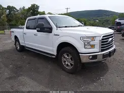 1FTFW1EF3GFB49070 2016 FORD F-150