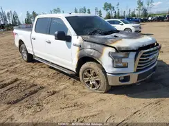 1FTFW1EF4GKD61273 2016 FORD F-150